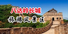 男人用鸡巴操女人的骚逼免费看黄片中国北京-八达岭长城旅游风景区